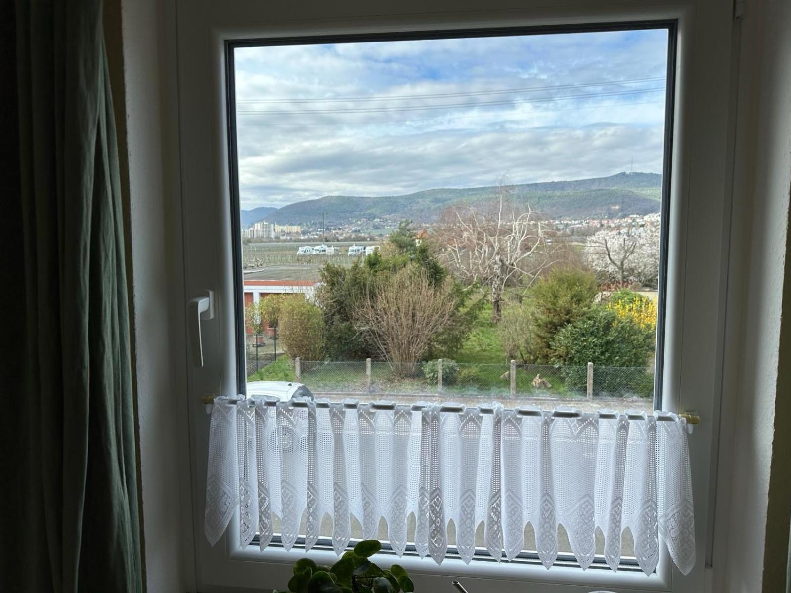 Terrassenwohnung Neustadt an der Weinstraße Eksteriør bilde